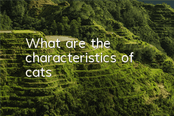 What are the characteristics of cats