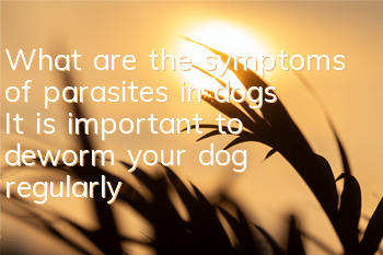 What are the symptoms of parasites in dogs? It is important to deworm your dog regularly