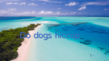Do dogs hiccup?