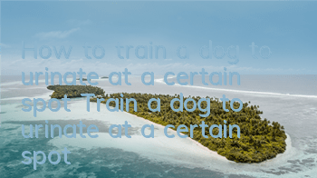 THow to train a dog to urinate at a certain spot? Train a dog to urinate at a certain spot!