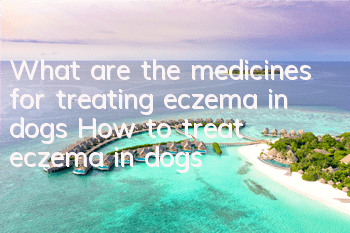 What are the medicines for treating eczema in dogs? How to treat eczema in dogs
