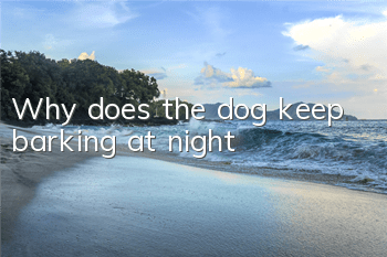 Why does the dog keep barking at night?
