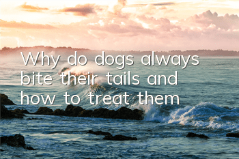 Why do dogs always bite their tails and how to treat them?