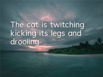 TThe cat is twitching, kicking its legs and drooling