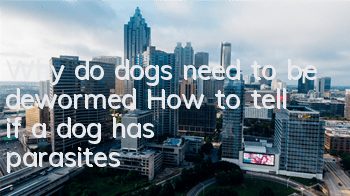Why do dogs need to be dewormed? How to tell if a dog has parasites?
