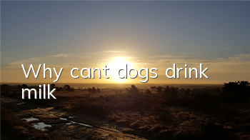 Why can’t dogs drink milk?