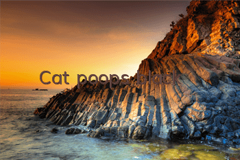 TCat poops black