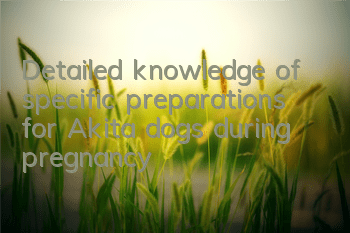 Detailed knowledge of specific preparations for Akita dogs during pregnancy