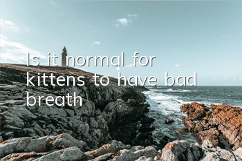 Is it normal for kittens to have bad breath?