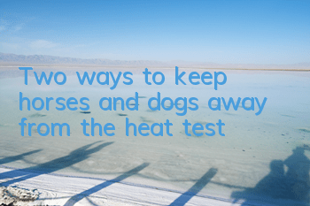 Two ways to keep horses and dogs away from the heat test
