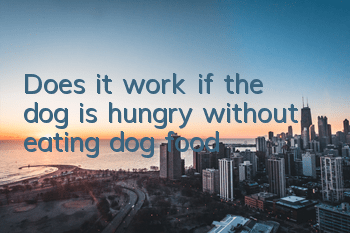 Does it work if the dog is hungry without eating dog food?