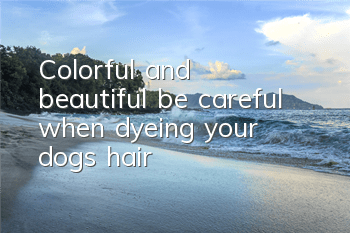 Colorful and beautiful, be careful when dyeing your dog’s hair!