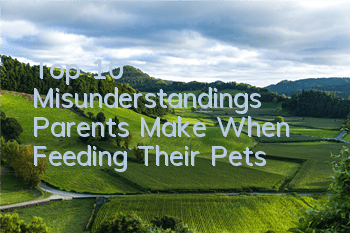 Top 10 Misunderstandings Parents Make When Feeding Their Pets