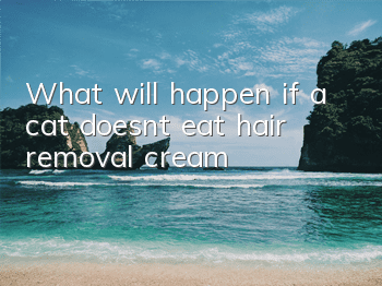 What will happen if a cat doesn’t eat hair removal cream?