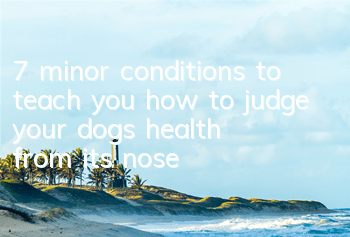 7 minor conditions to teach you how to judge your dog’s health from its nose