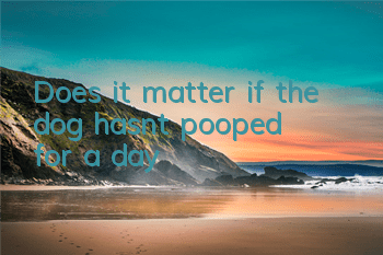 Does it matter if the dog hasn’t pooped for a day?