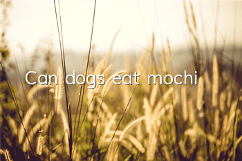 TCan dogs eat mochi?