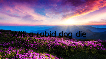 Will a rabid dog die?