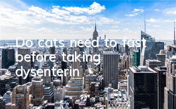 Do cats need to fast before taking dysenterin?