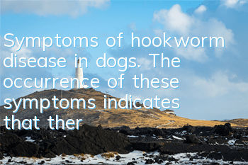 Symptoms of hookworm disease in dogs. The occurrence of these symptoms indicates that there is something wrong with the dog’s body.