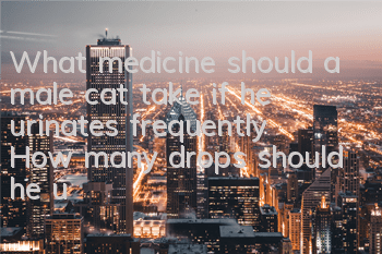 What medicine should a male cat take if he urinates frequently? How many drops should he urinate every time?