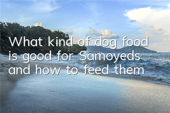 What kind of dog food is good for Samoyeds and how to feed them
