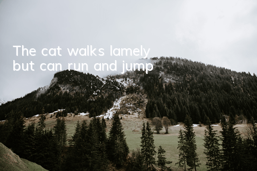 The cat walks lamely but can run and jump
