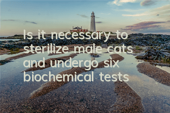 Is it necessary to sterilize male cats and undergo six biochemical tests?