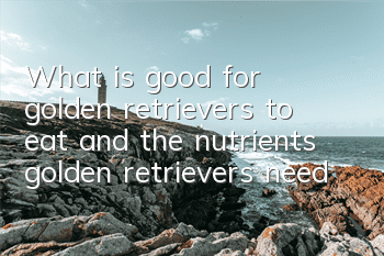 What is good for golden retrievers to eat and the nutrients golden retrievers need