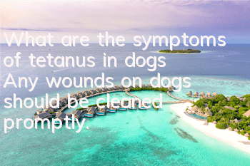 What are the symptoms of tetanus in dogs? Any wounds on dogs should be cleaned promptly.