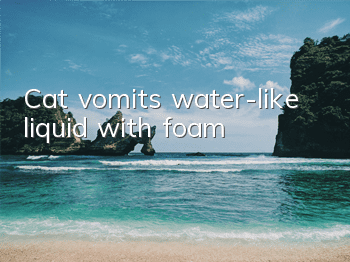 Cat vomits water-like liquid with foam