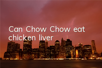 TCan Chow Chow eat chicken liver?