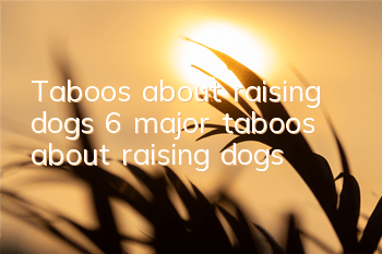 Taboos about raising dogs 6 major taboos about raising dogs
