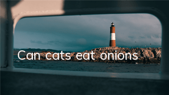 Can cats eat onions?