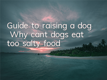 Guide to raising a dog | Why can’t dogs eat too salty food?