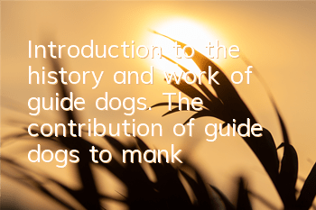 Introduction to the history and work of guide dogs. The contribution of guide dogs to mankind.