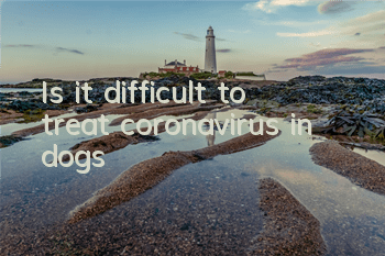 TIs it difficult to treat coronavirus in dogs?