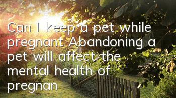 Can I keep a pet while pregnant? Abandoning a pet will affect the mental health of pregnant women