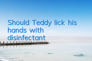 Should Teddy lick his hands with disinfectant?