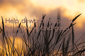 Help deworm puppies, be a loving and good owner!