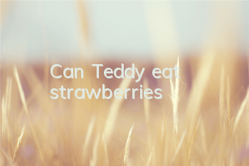 Can Teddy eat strawberries?
