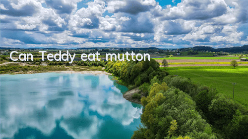 Can Teddy eat mutton?