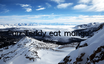 Can Teddy eat mango?