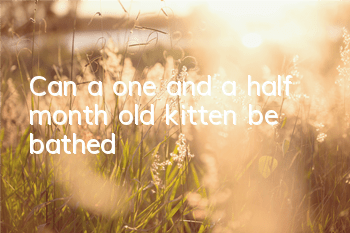 Can a one and a half month old kitten be bathed?