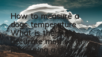How to measure a dog’s temperature? What is the most accurate method of measuring a dog’s temperature?