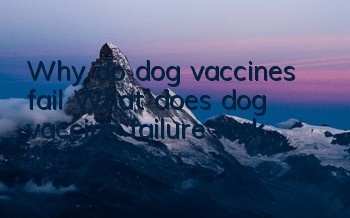 Why do dog vaccines fail? What does dog vaccine failure look like?