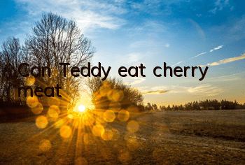 Can Teddy eat cherry meat?