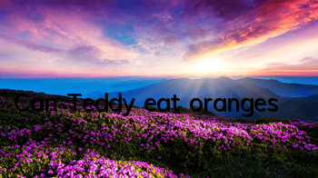 Can Teddy eat oranges?