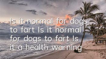 Is it normal for dogs to fart? Is it normal for dogs to fart? Is it a health warning?