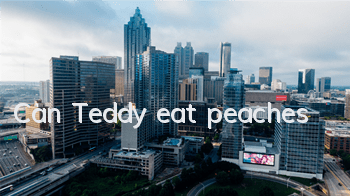 TCan Teddy eat peaches?